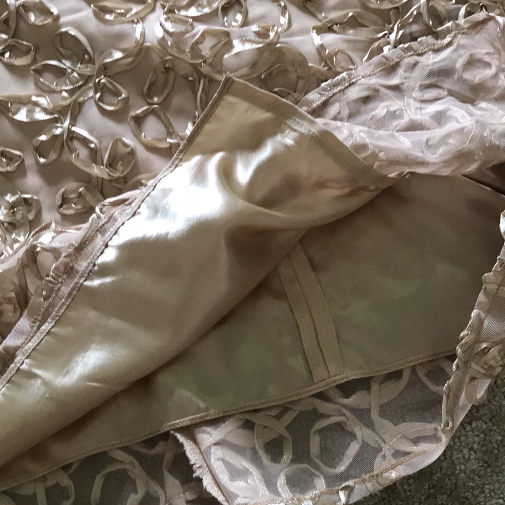 Size 6 - Ellen Tracy design with some modifications - Picture 11 of 11